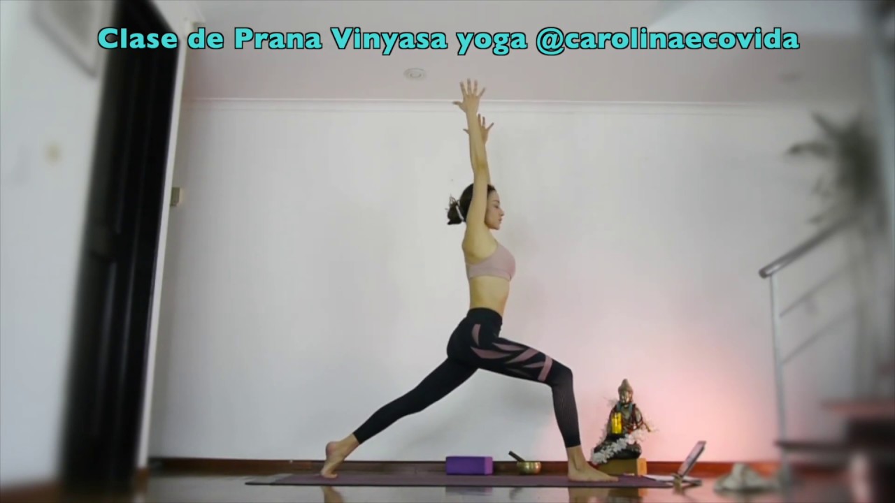 PRANA VINYASA FLOW CON CAROLINAECOVIDA