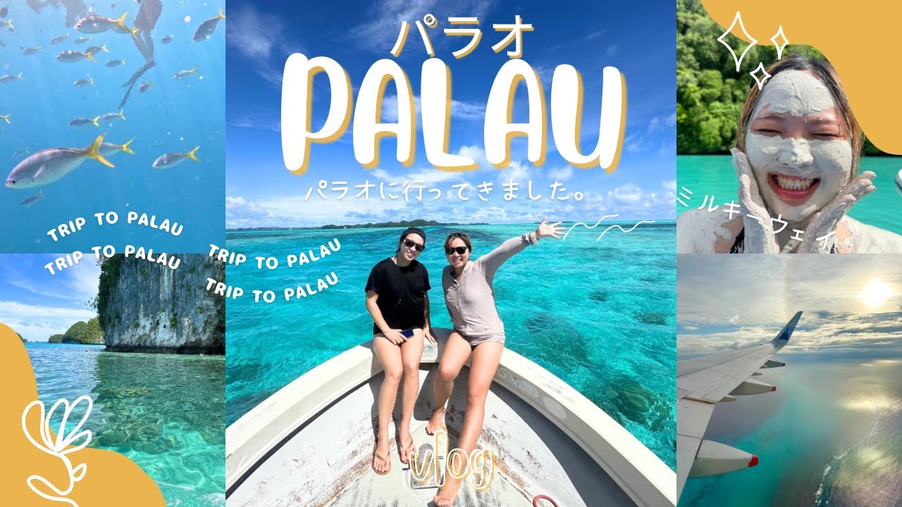 【パラオ🇵🇼ミルキーウェイ&シュノーケル、街散策も！】空港からの移動や、ツアー予約詳細。