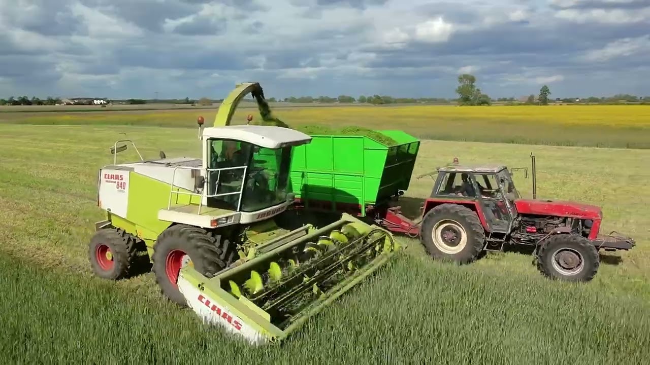 🔥Żyto na kiszonkę🔥 Twingo dostaje przepał