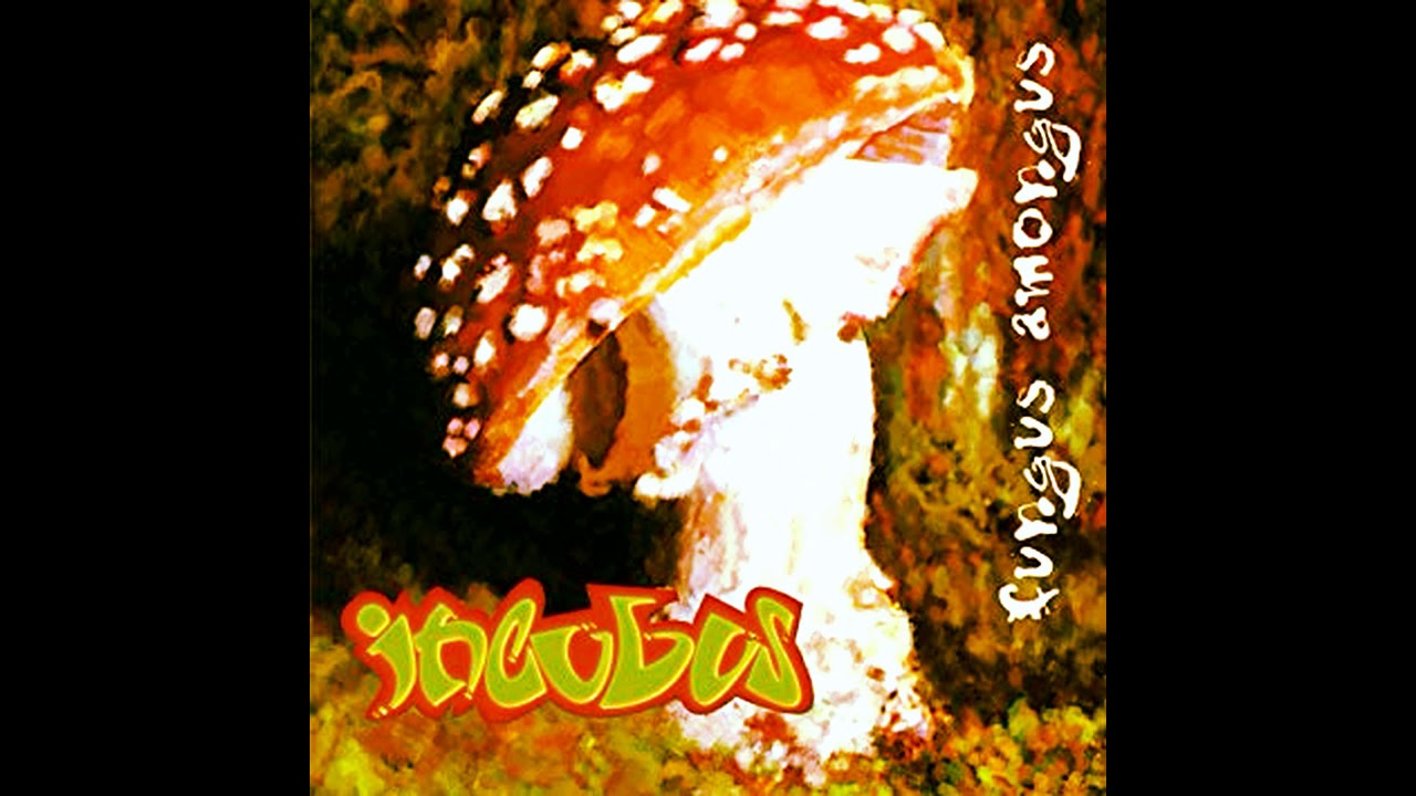 Incubus 