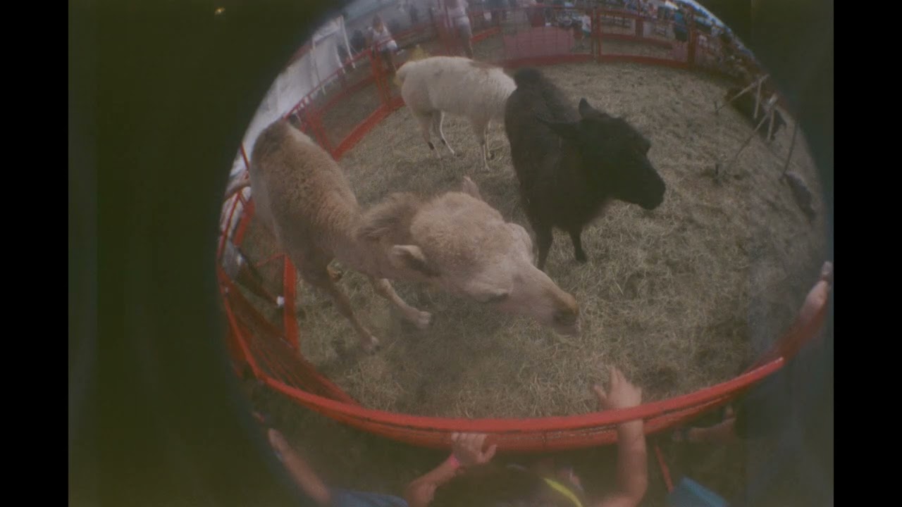 Unfinished Dreams (Roll #1) Shot on a Lomography Fisheye Camera