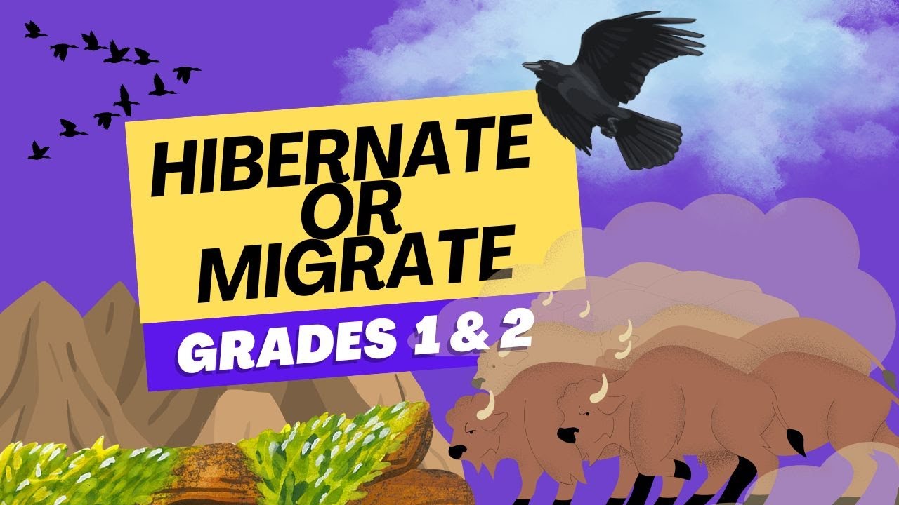 Hibernate or Migrate for Kids