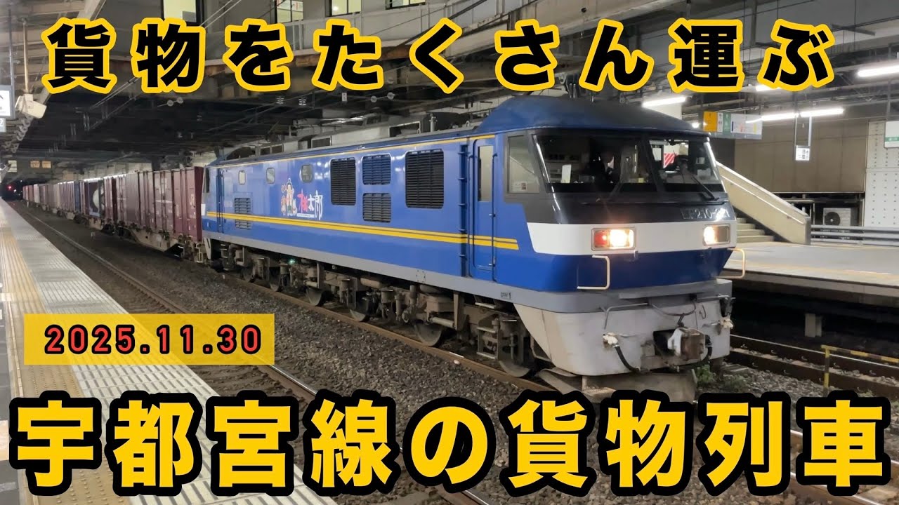 宇都宮線 貨物列車　小山駅を貨物列車が次々と通過する！ (退避もあり)　EH500  EF210