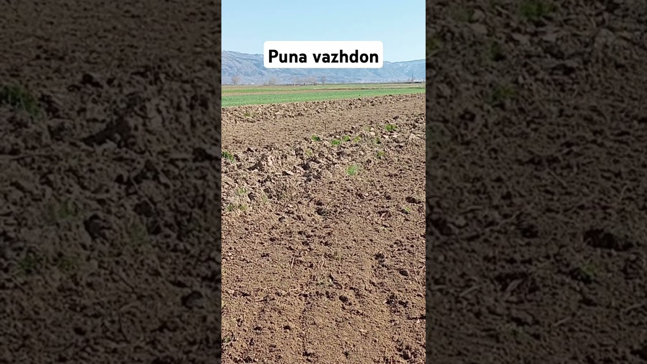 puna vazhdon #bujqesi #fermeri #maliq