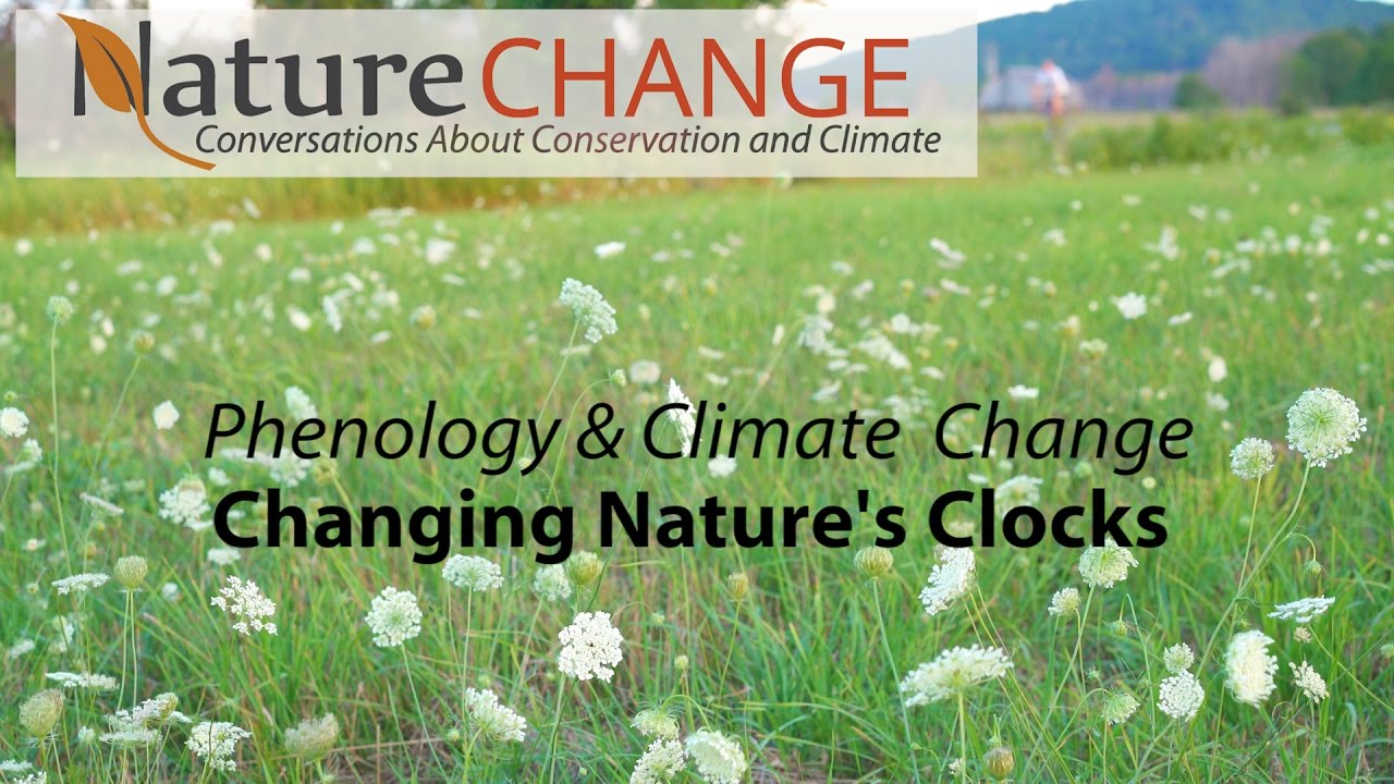 Phenology and Climate Change - Changing Nature's Clocks