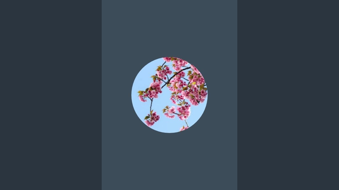 Rimpi ka garden is live!