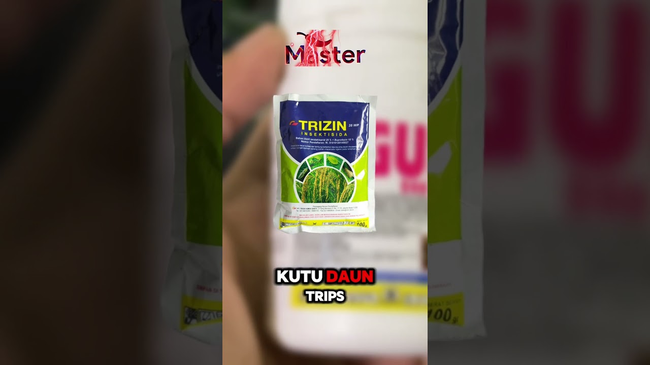 Sekali Semprot Kutu Kebul Langsung Ambrol Sampai Ketelur telurnya!