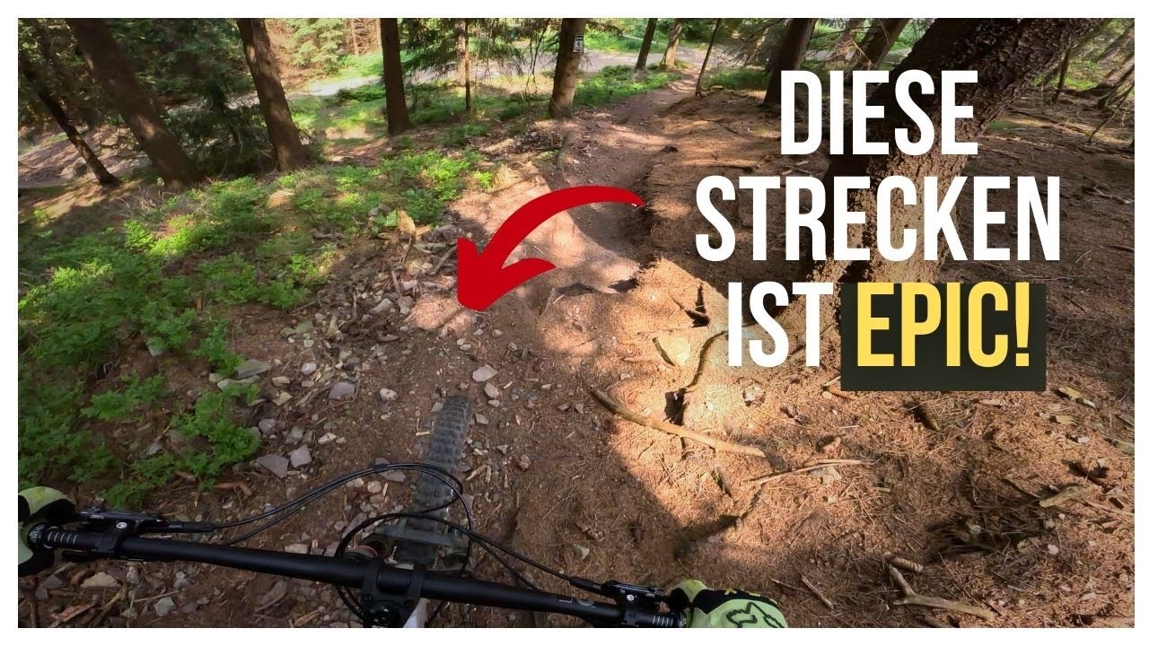 Downhill Strecken im Bikepark Hahnenklee ist EPIC! | Canyon Torque AL [4K]
