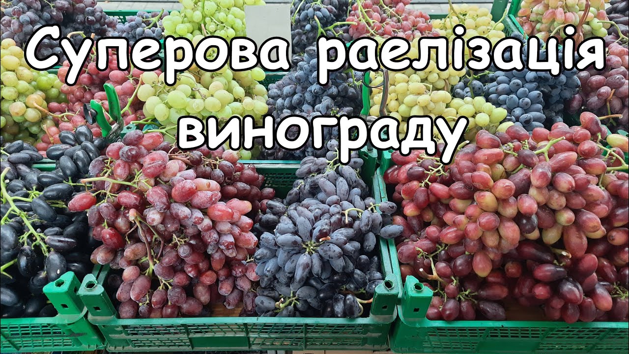 Суперова реалізація винограду