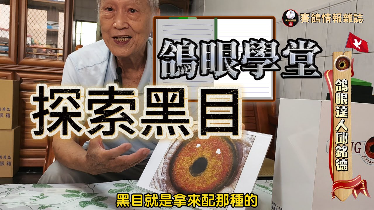 鴿眼學堂～黑目篇 邱銘德老仙帶您實際分析鴿眼  #鴿壇名人 #鴿眼 #眼誌 #強豪 #鴿刊 #種鴿 #海翔 #pigeon #鴿子 #育種 #養鴿 #粉鳥 #窺眼箱 #銘鴿