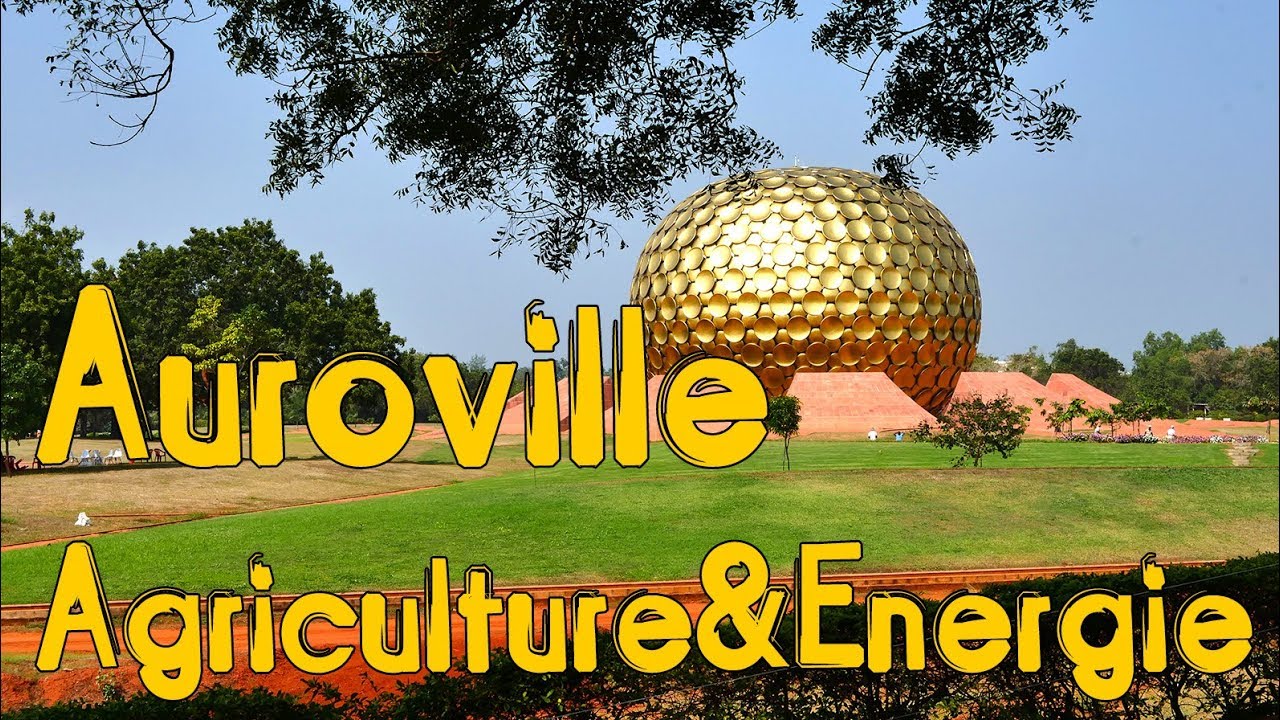 INDE - Auroville, l'agriculture entre utopie et réalité - Les Vagabonds de l'énergie