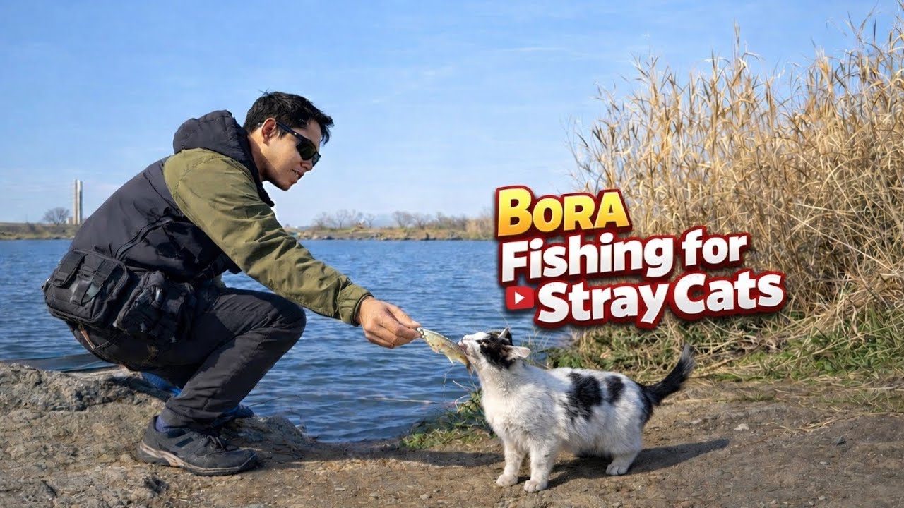 Bora Fishing for Stray Cats by the River