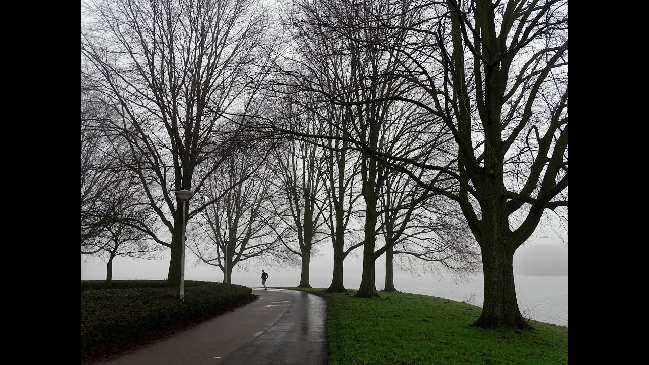 Een mistige dag in Amsterdam: Sloterplas, Sloterpark en Sloterstrand