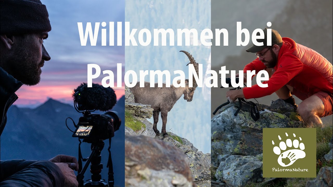 Willkommen bei PalormaNature mit Mario & Stefan