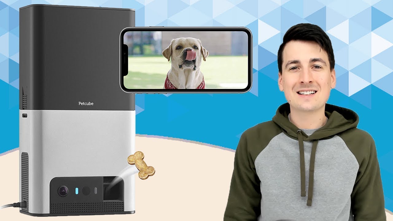 Petcube Bites 2 WiFi Pet Camera with Treat Dispenser Review