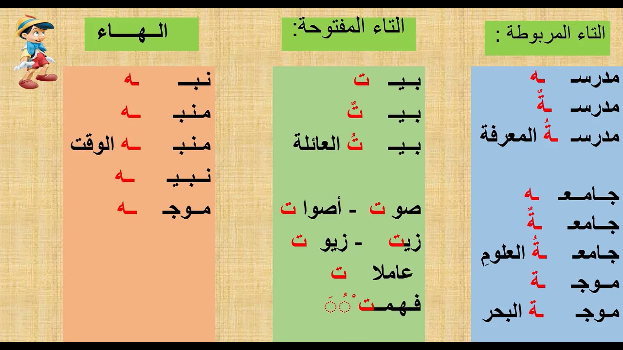 التاء المربوطة والتاء المفتوحة والهاء/ قواعد الإملاء