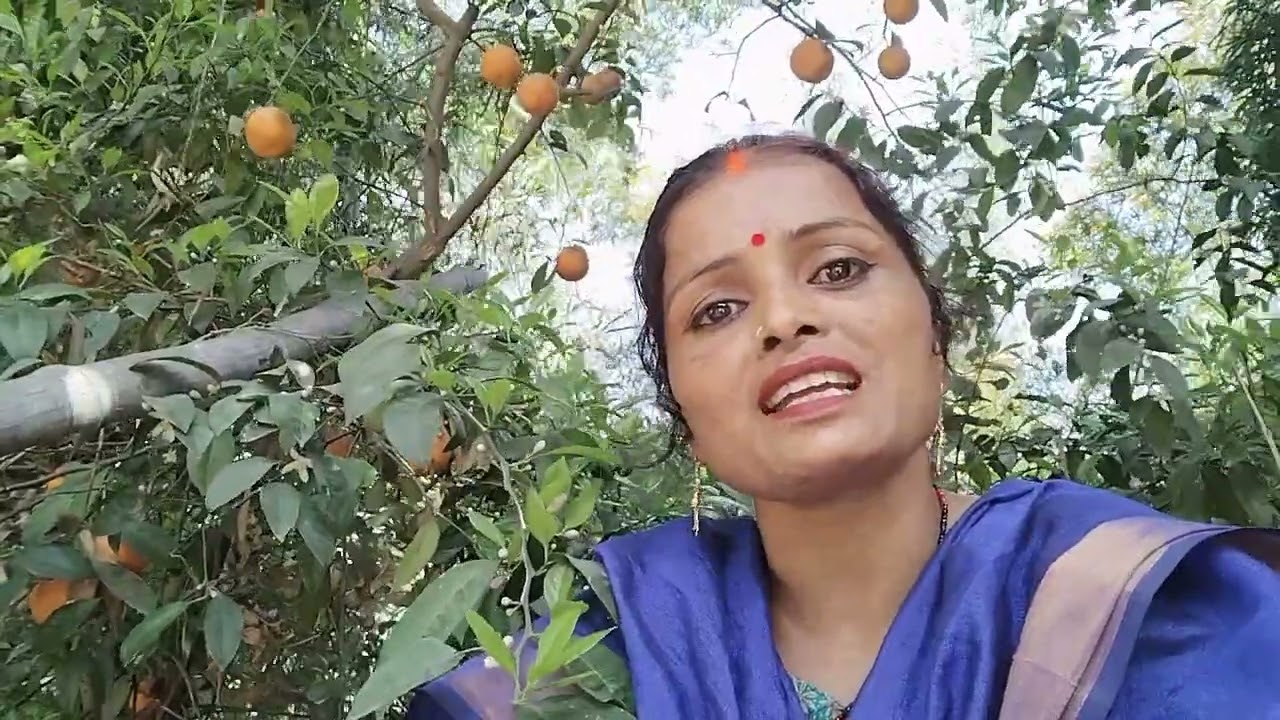 ||भगवन लिहा परीक्षा छोड़या ना कसरिया ||#वायरल #भजन  #वीडियो #awdhpuriyamamta89 के स्वर में मस्तभजन 