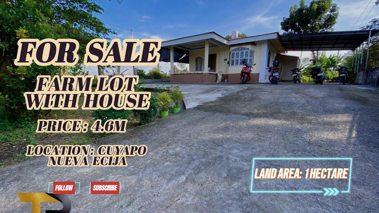 (V406) 1 HECTARE FARMLOT WITH HOUSE BA HINAHANAP MO! PANOORIN MO ITO GANDA NG PROPERTY NA ITO.