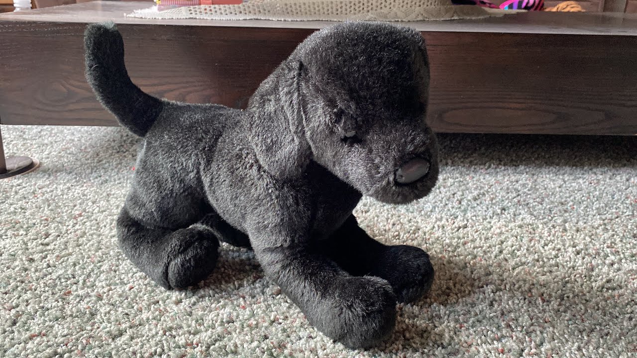 Douglas Black Lab Plush Unboxing