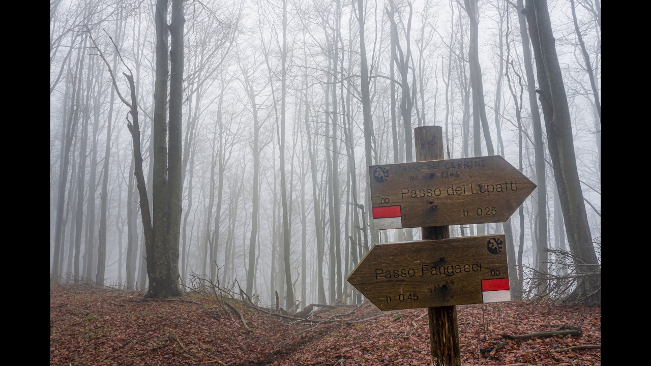 15 Dicembre 2019 Cai Ravenna