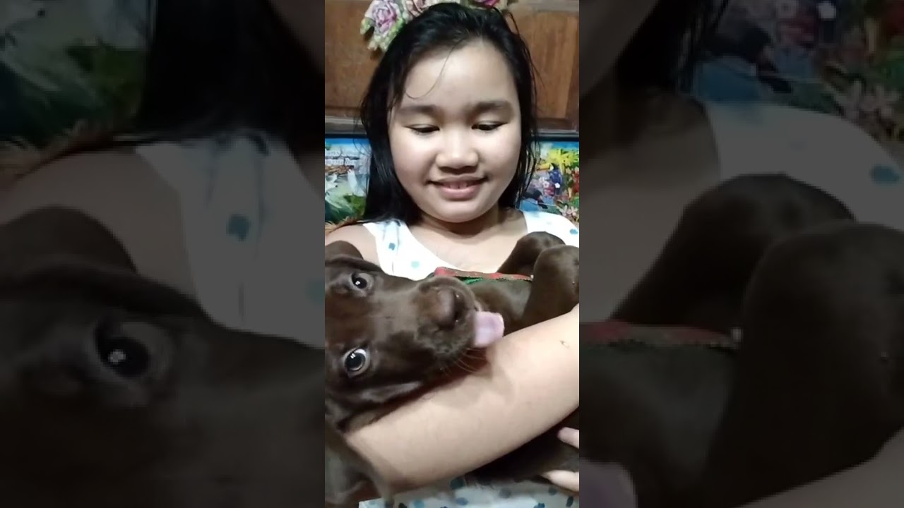 Editing My New Two Pet Puppies 🤩🥰😍