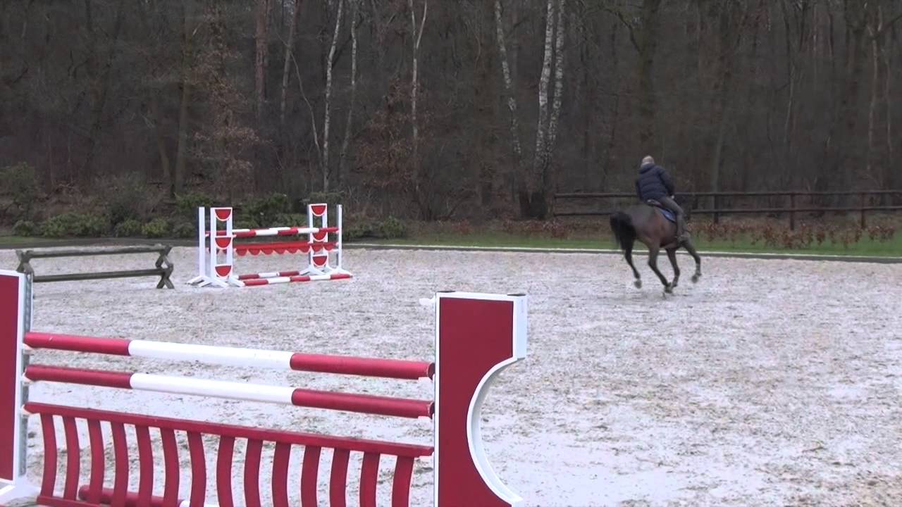 Floriona, harley x empire (SOLD)
