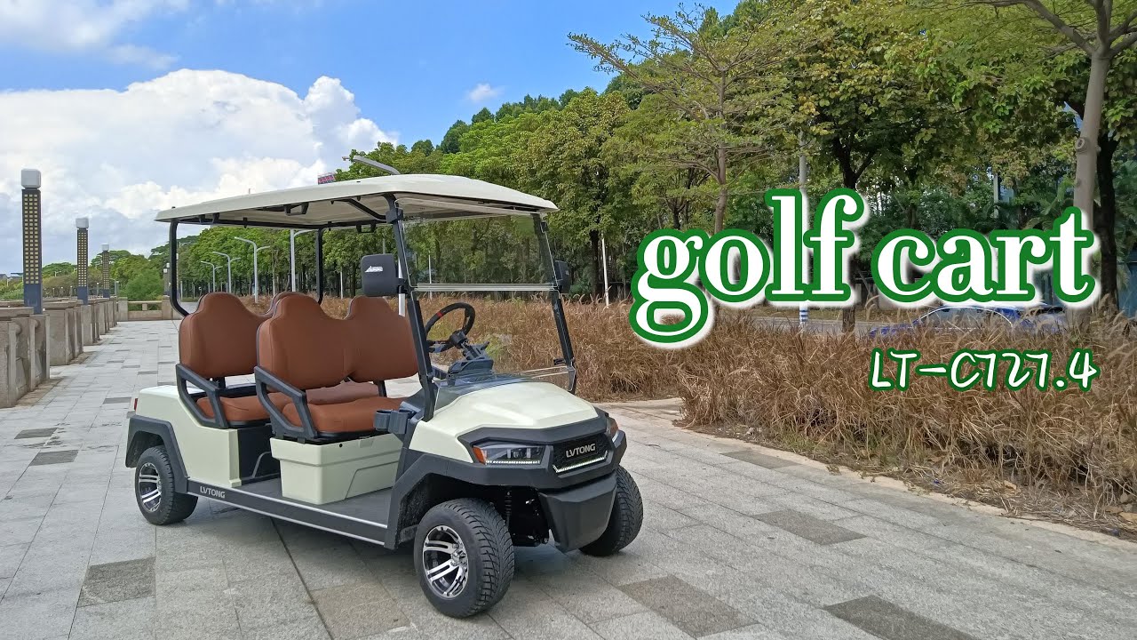 Professional Experience: Unveiling the Exquisite Details of Lvtong C727.4