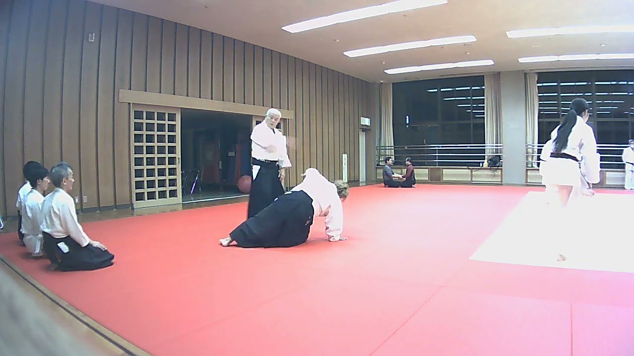 合氣道八和会　横面打ち　一教