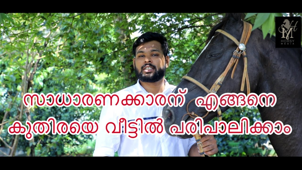സാധാരണക്കാരന് എങ്ങനെ വീട്ടിൽ കുതിരയെ പരിപാലിക്കാം | horsy media