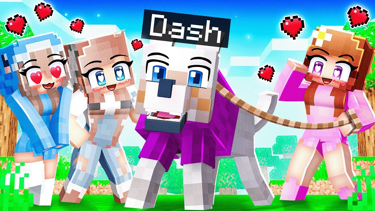 One DOG BOY on a ALL GIRL WORLD!