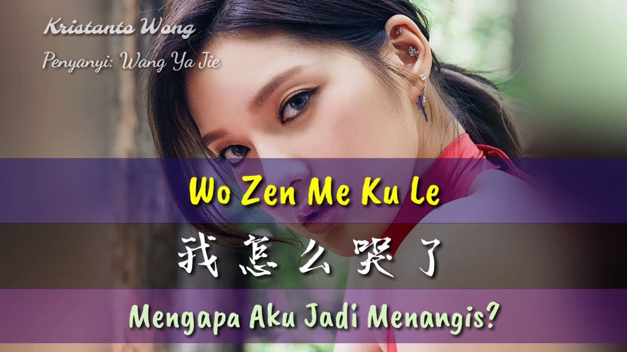 Wo Zen Me Ku Le - 我怎么哭了 - Wang Ya Jie - 王雅潔 (Mengapa Aku Jadi Menangis?)