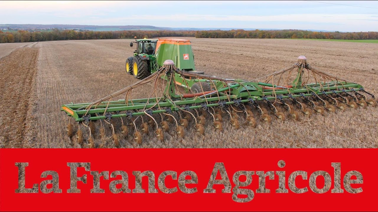 Reportage : « Nous utilisons un semoir de 15 mètres en Cuma »