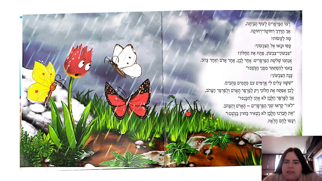 שלושת הפרפרים - מאור