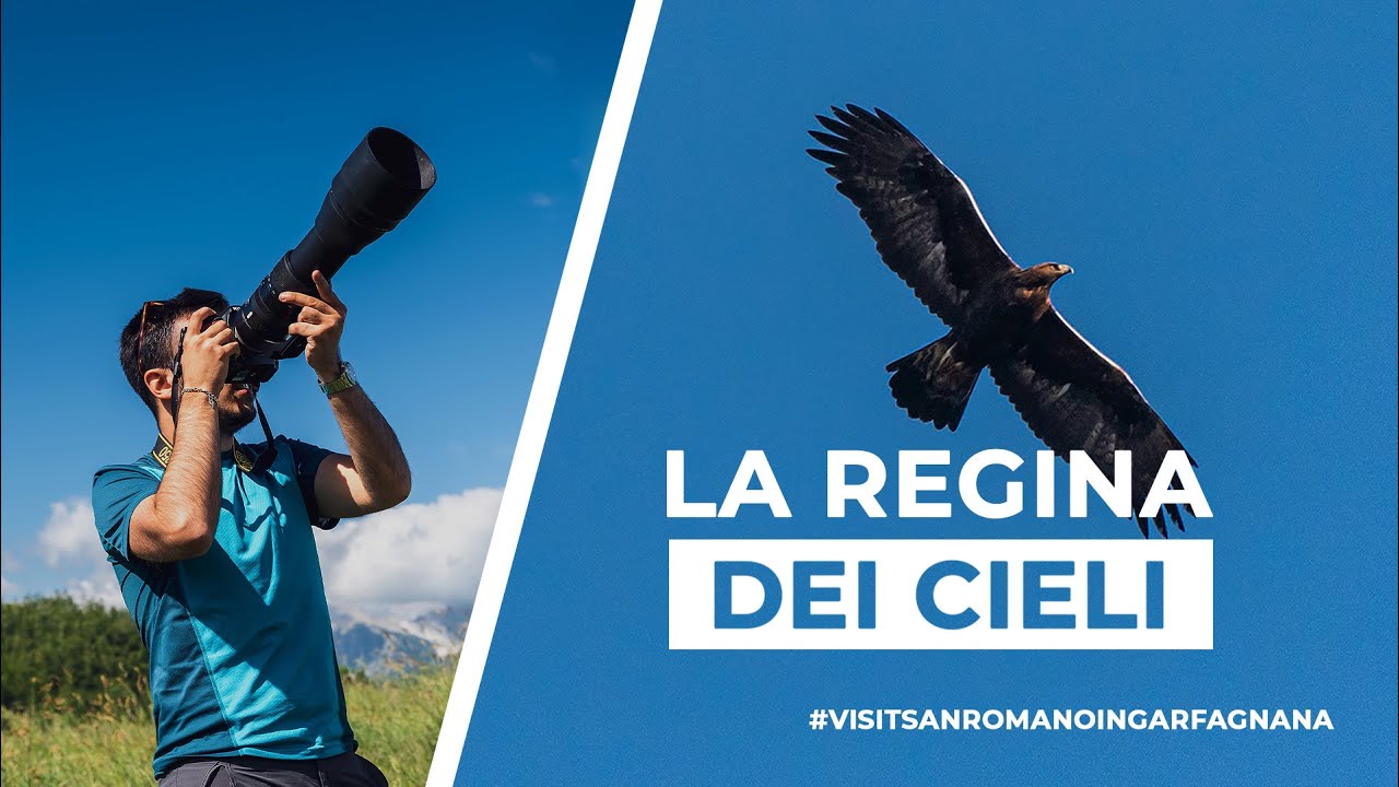 Aquila Reale, caccia fotografica in Garfagnana [ENG SUBS]
