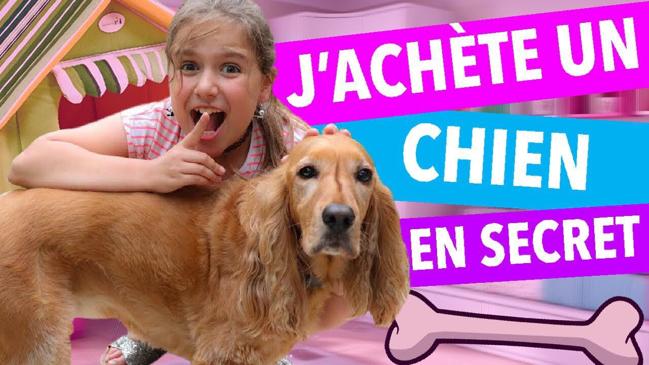 J’ACHÈTE UN CHIEN ! *super*