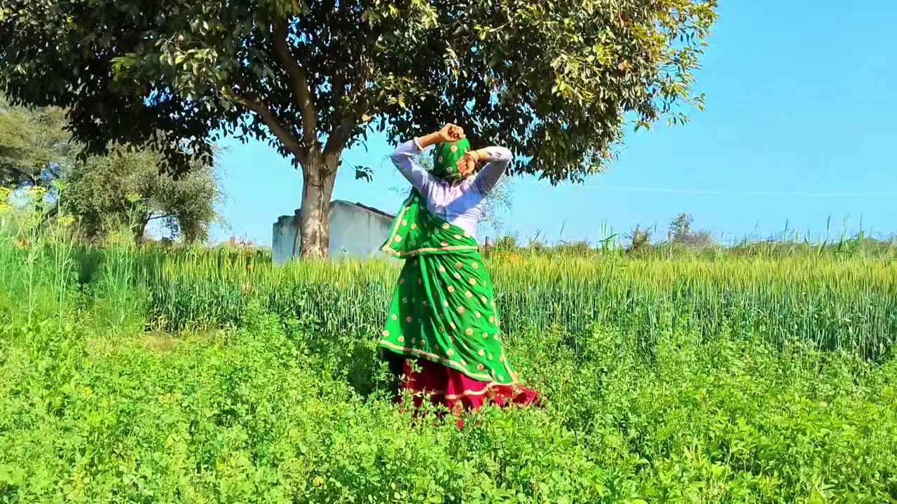 मालुम अब जात्यो चाल्यो चो दो दो यार राख ची उजाटा मीणा गीत ///सिंगर सोनू बाडोलास 