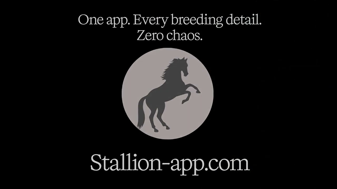 What is Stallion App?
