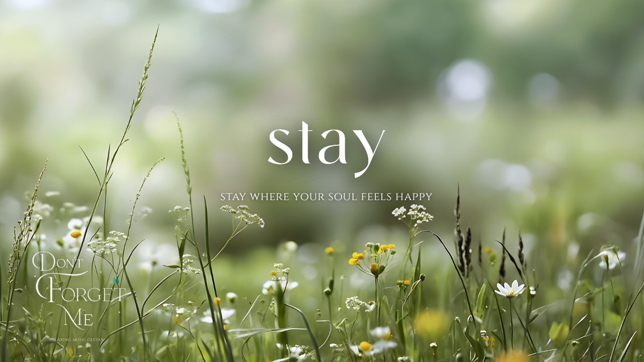 Stay where your soul feel happy🍃 Relaxing Guitar Music for Sleep, Study, and Emotional Healing