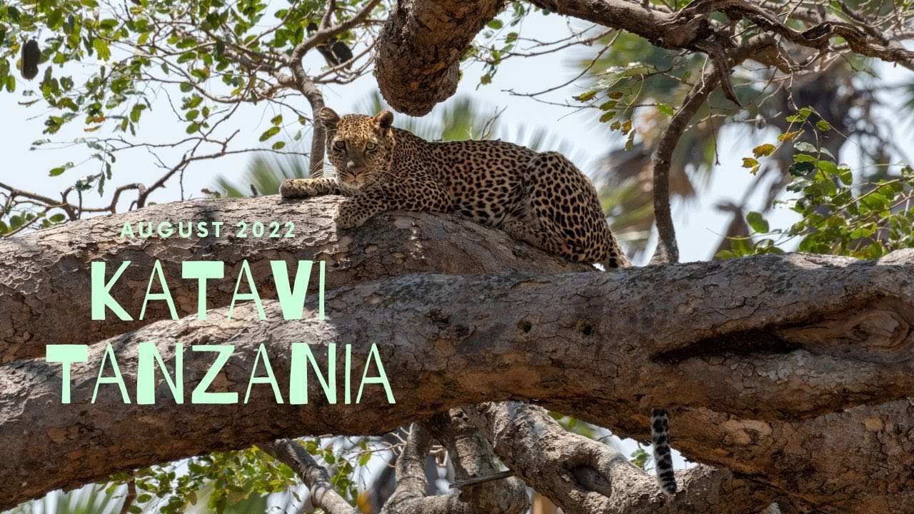Tanzania Safari - Katavi National Park - August 2022