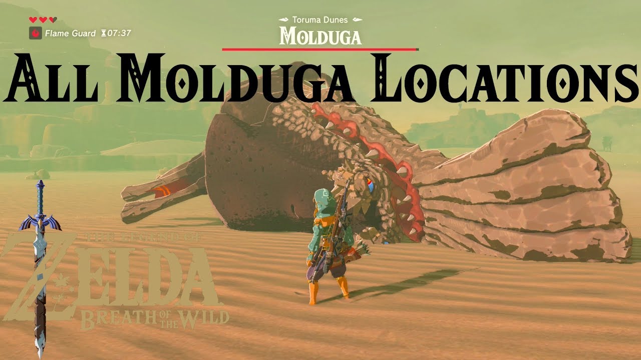 All Molduga Locations - The Legend of Zelda : Breath of the Wild