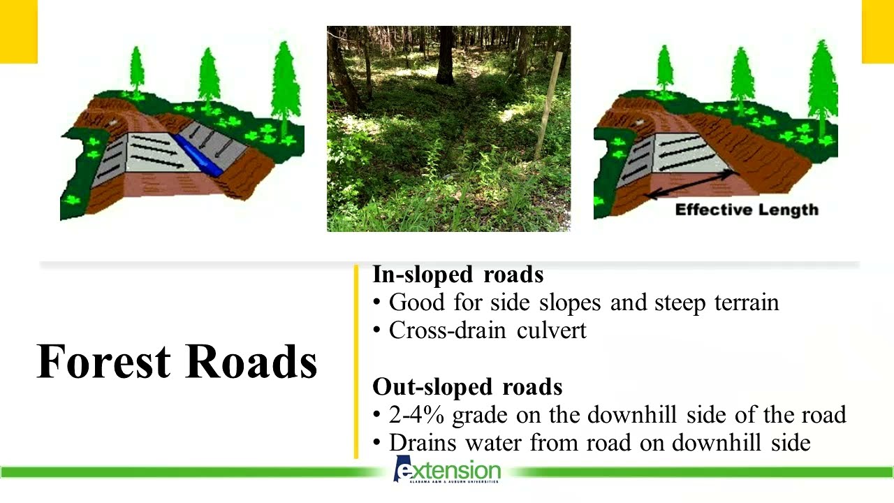Erosion Control With Best Management Practices