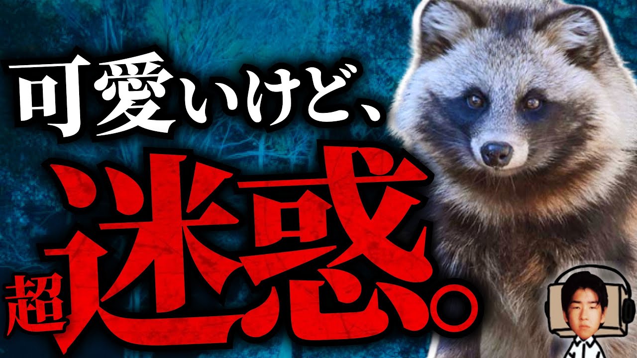 【実は超危険!?】かわいいのに…