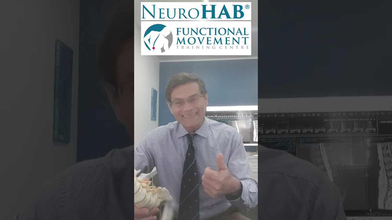 EVERY Low Back Pain patient can understand - Spine Stability and Neural Control (NeuroHAB) analogy🤓