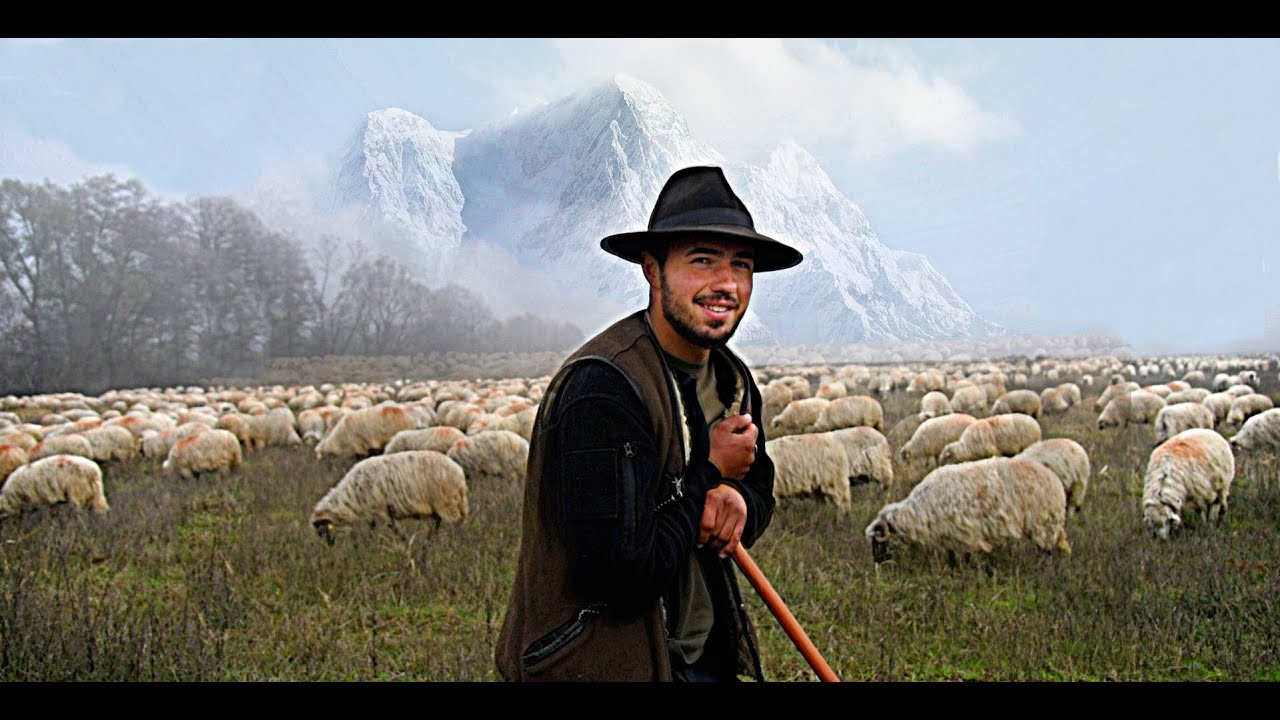 VIAȚA CIOBANILOR DOCUMENTAR - PUIU MĂDĂLIN IN TRANSHUMANTA LA  26 DE ANI CU PESTE 2000 DE OI !