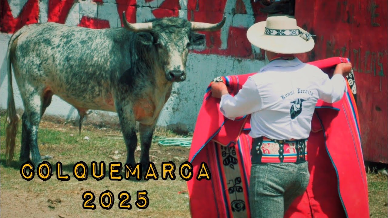 Corrida de toros| colquemarca 2025