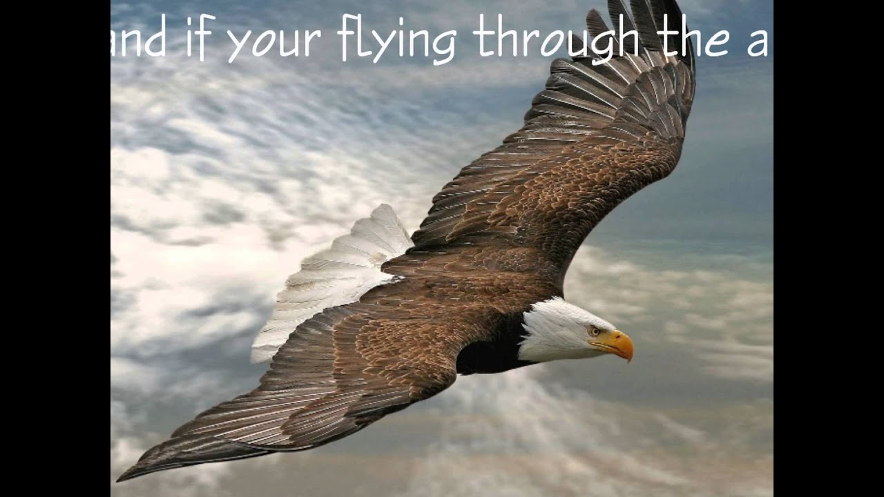 Psalm 148 Sons of Korah