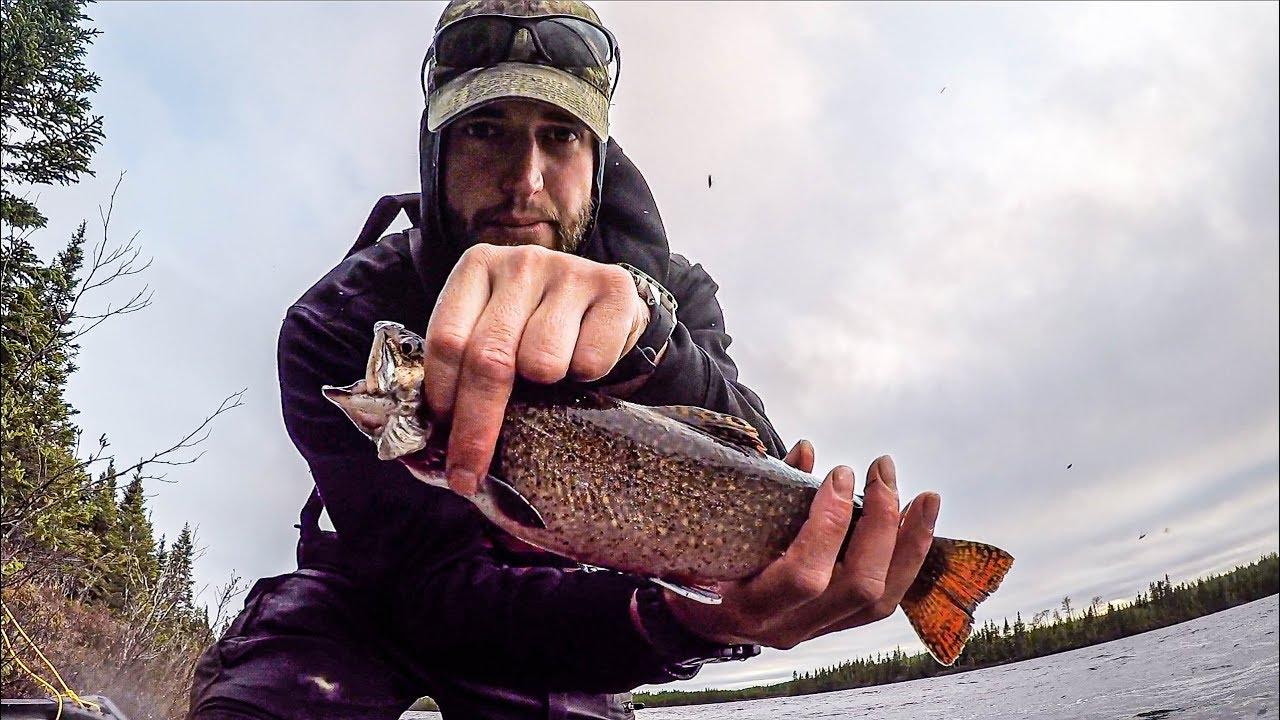 Fishing for Tasty Brook Trout in a Canoe