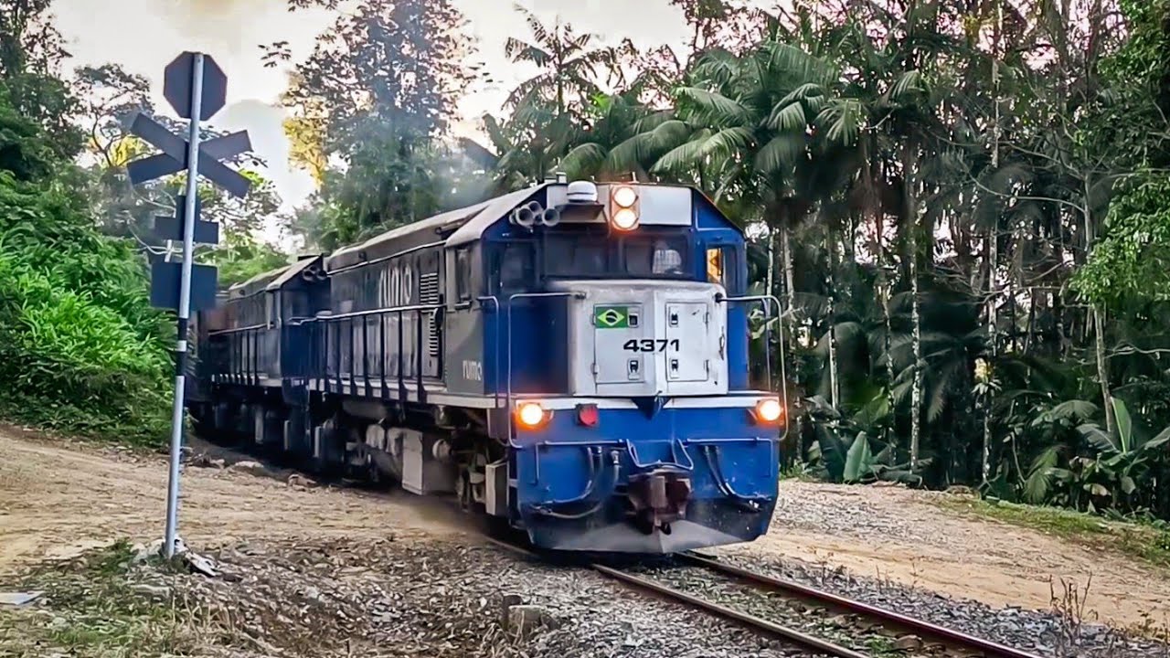 Quando a Máquina Desafia a Serra! Veja a Potência de um Trem de Carga
