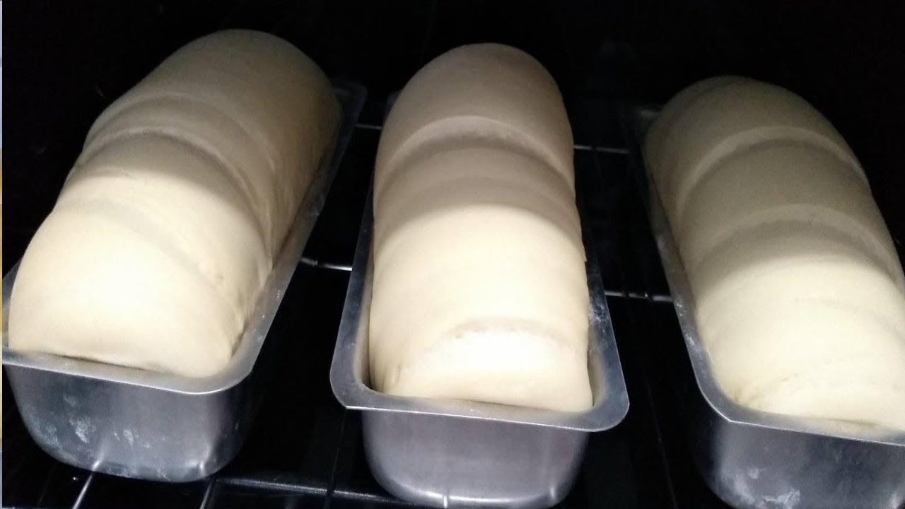 PÃO DE INVERNO😍 Oque Fazer Para Meus Pães crescer  - Você não Vai Perder essa Dica 😍😊