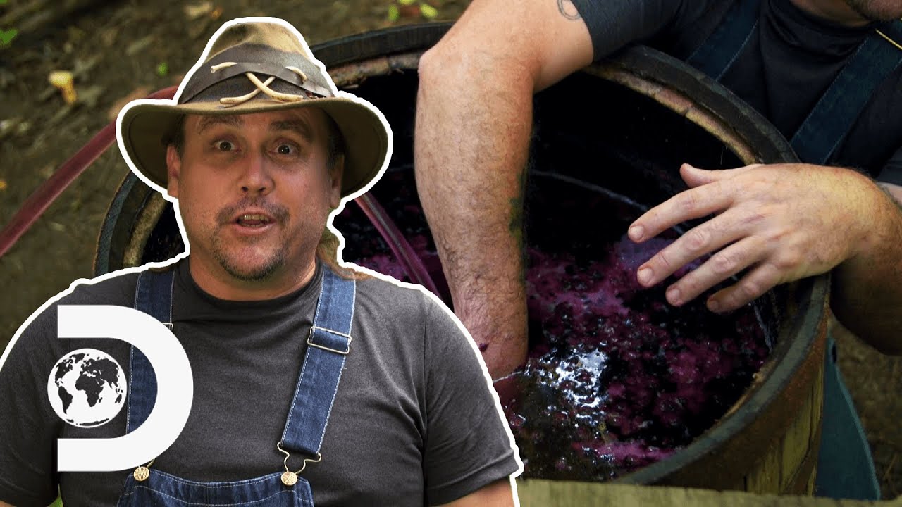 Moonshiners Turn Finest Blueberry Wine Into Actual Champagne | Moonshiners